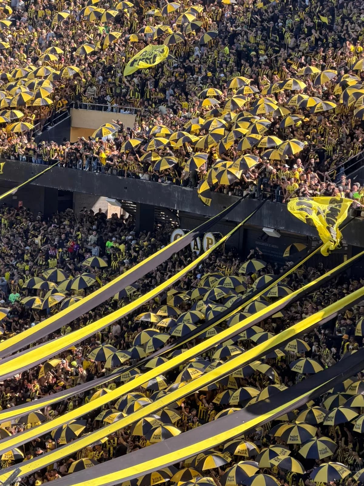 Peñarol – Match Day Experience | Live the Champion of the Century from the Inside
