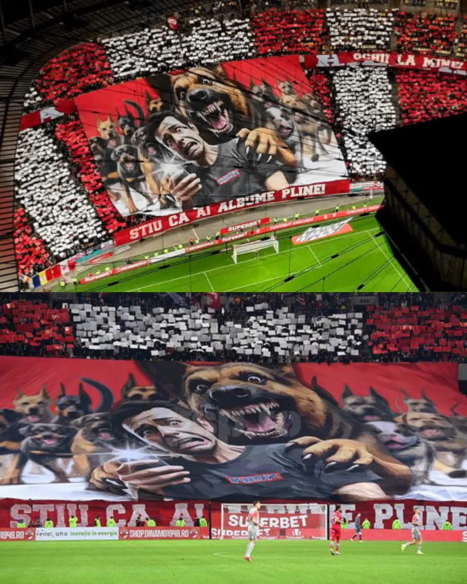 Dinamo Bucharest Matchday Experience – Step Into One of Romania’s Most Passionate Football Atmospheres!