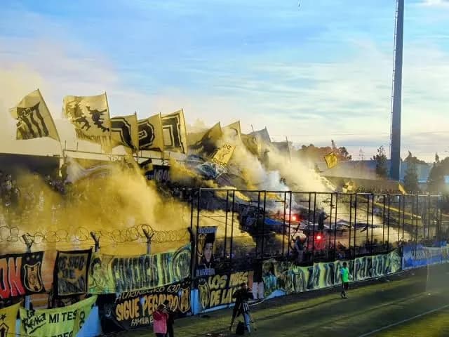 Deportivo Madryn Matchday Experience: Football in the Patagonia