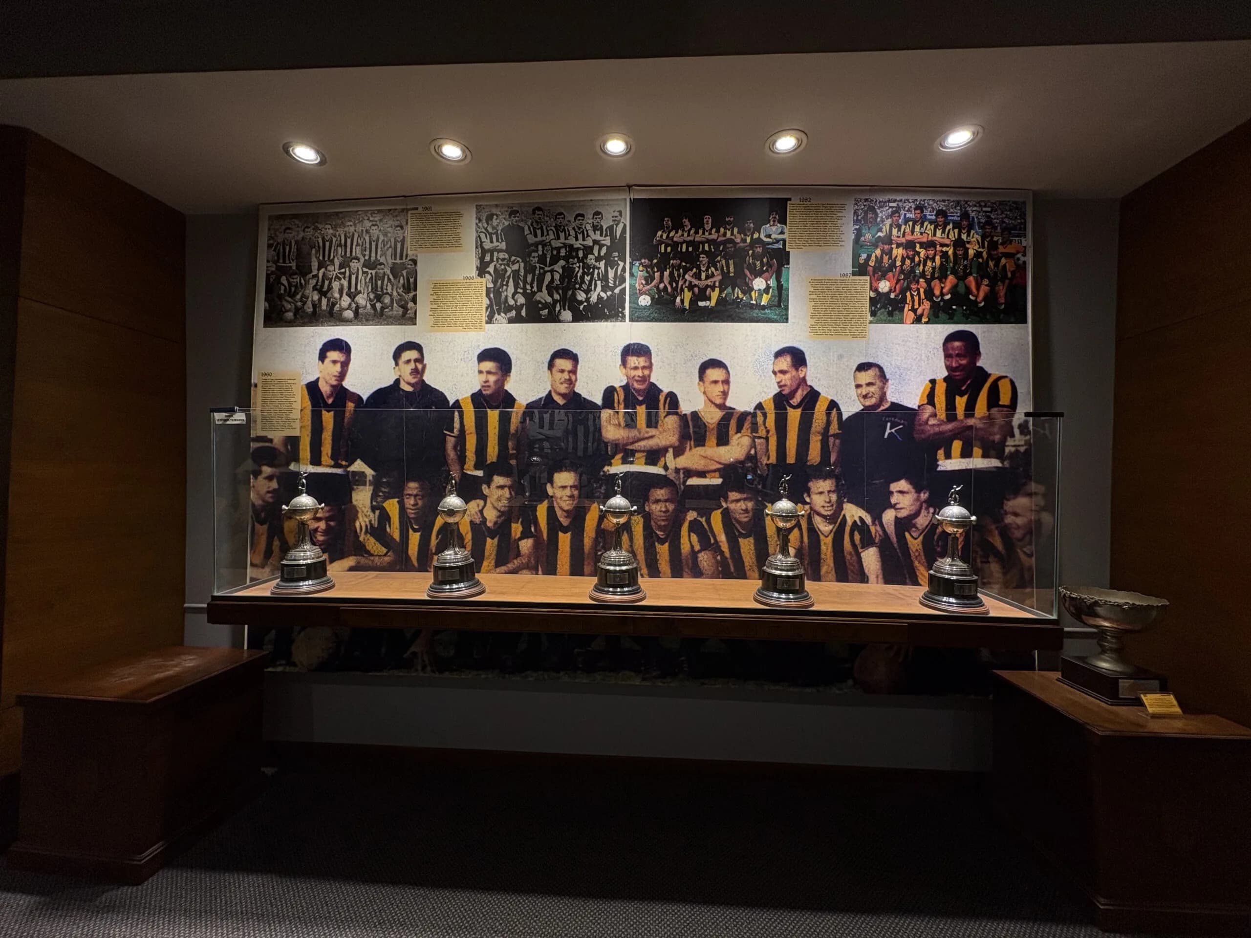 Peñarol Inmersive Tour: One of the best club in South America (Minimum 2 people - All week)
