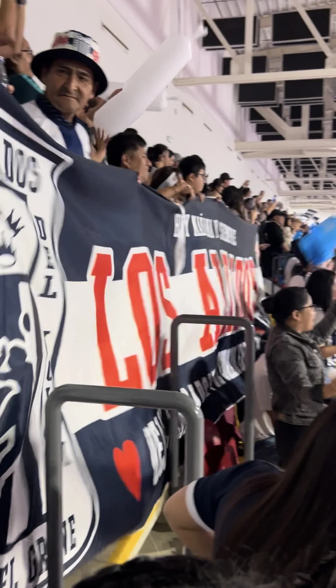 Alianza Lima Professional Volleyball Match Experience