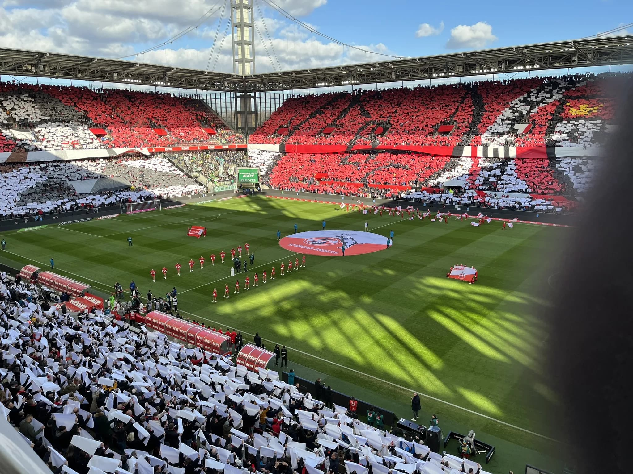 FC Köln Matchday experience with a local