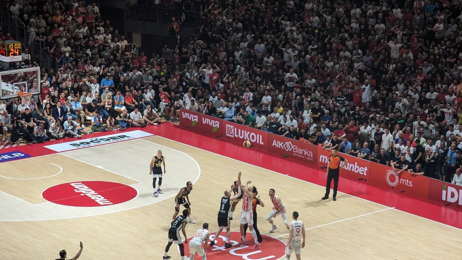 Belgrade Red Star Basketball Match Experience