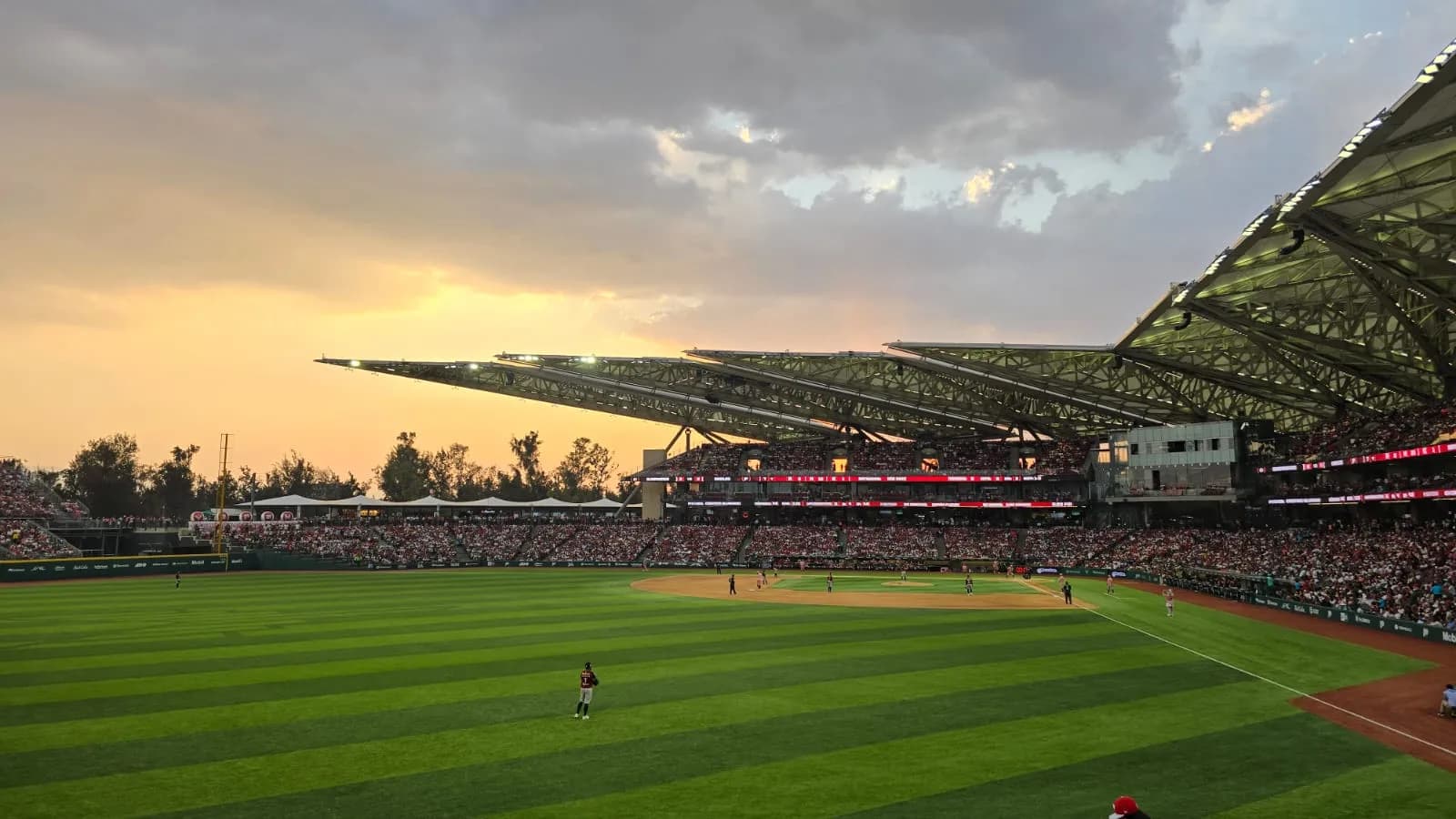 Diablos Rojos del Mexico Game Day Experience with a Local