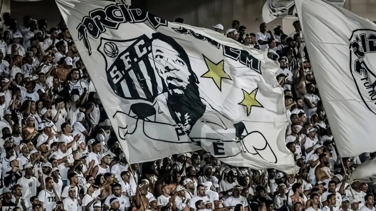 Santos FC Matchday Experience & Tour