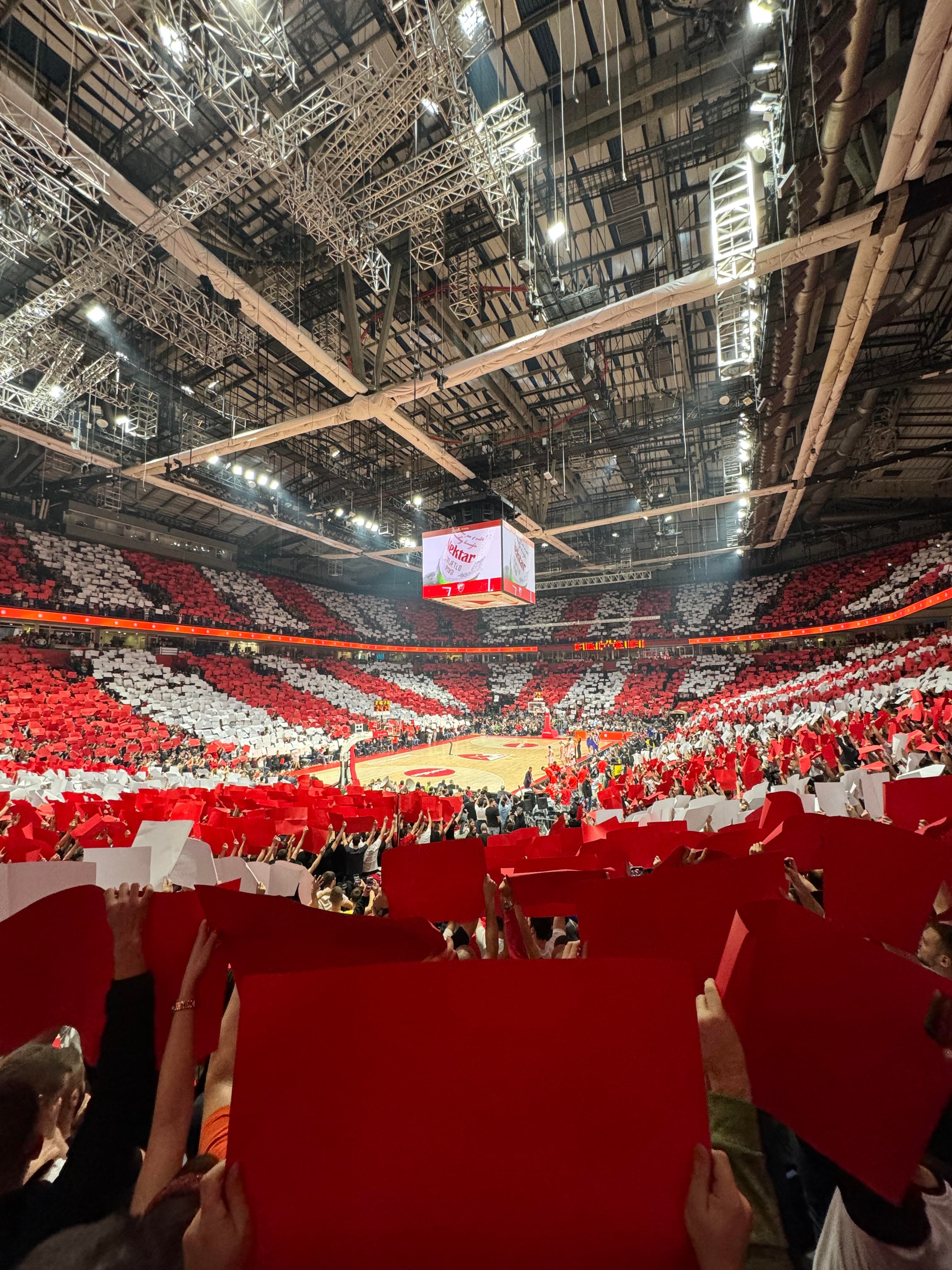 Red Star Belgrade basketball matchday experience