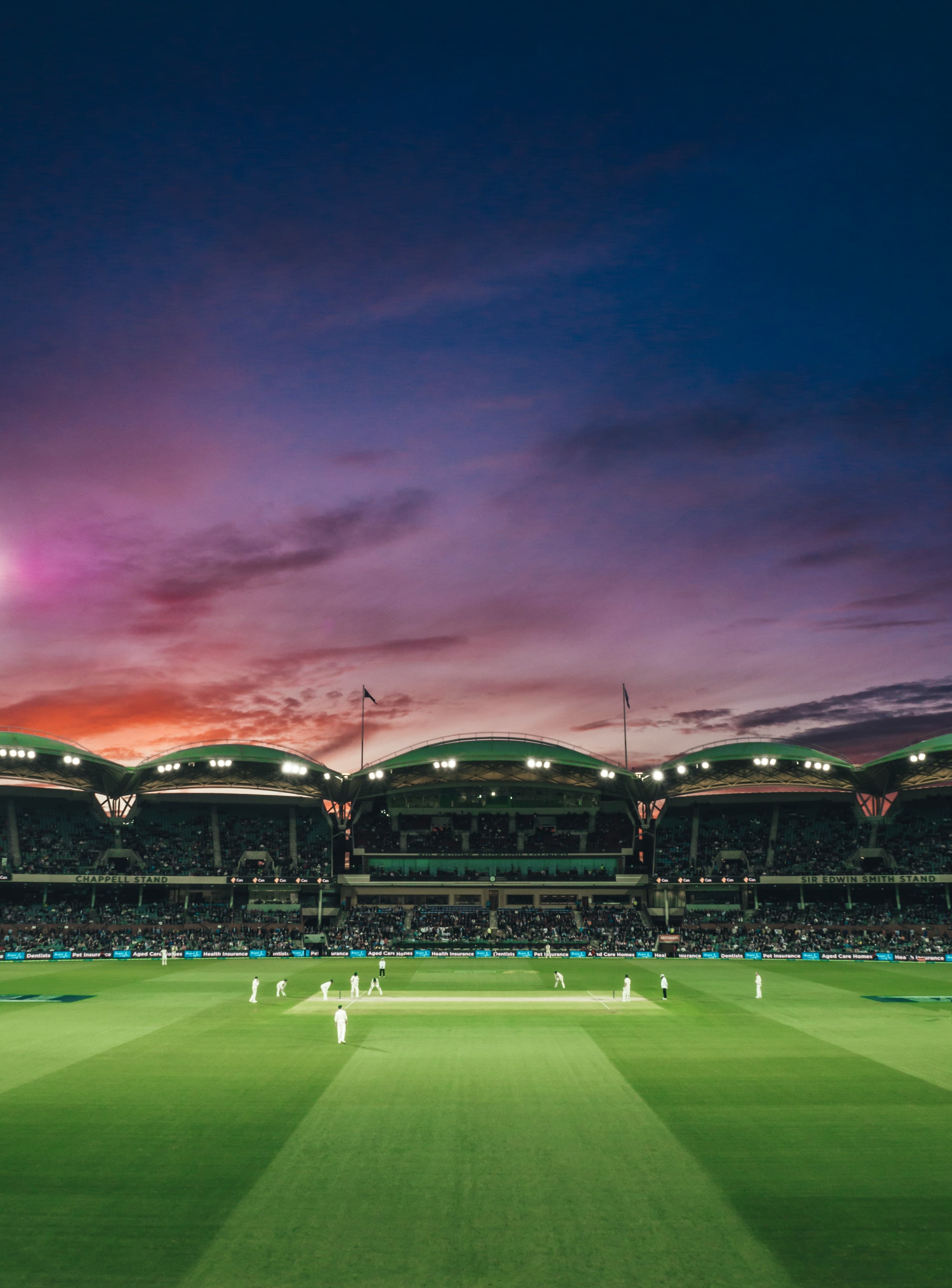 Cricket